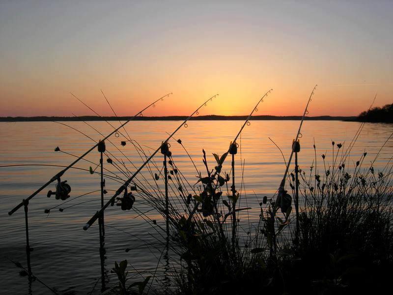 ::::::::LIKE:::::::: - 1004413542778155757957889122402n.jpg